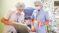 8 135 новых случаев COVID-19 зафиксировано по России