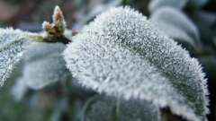 Завтра в Татарстан возвращаются сильные морозы