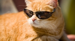 Новости  - На выходных в Татарстан придет жара