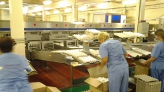 Новости Общество - Птицекомплекс «Лаишевский» возобновляет работу после эпидемии