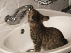 Новости  - С 31 по 2 ноября отключат воду в двух районах Казани