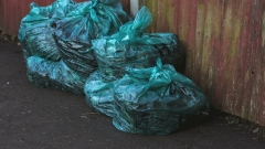 Новости Не проходите мимо! - Добровольцы очистят от мусора территорию озера Лесного в Казани