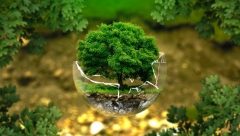 Новости Не проходите мимо! - Фестиваль разумного потребления «КультТорг» пройдет в Казани