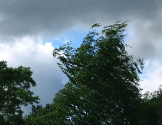 Сегодня днем в Татарстане ожидается ураган