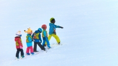 Новости Спорт - В Горкинско-Ометьевском лесу заработал прокат лыж