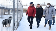 Новости Общество - В Казани появился собачий «детский сад»