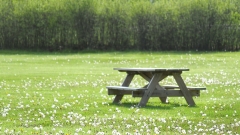 Новости Общество - Завтра в парках Казани пройдут ярмарки вакансий