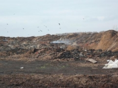 Новости  - В Нурлатском районе было уничтожено 300 кв. м. плодородной почвы