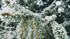 Сегодня в Казани прогнозируется облачная погода